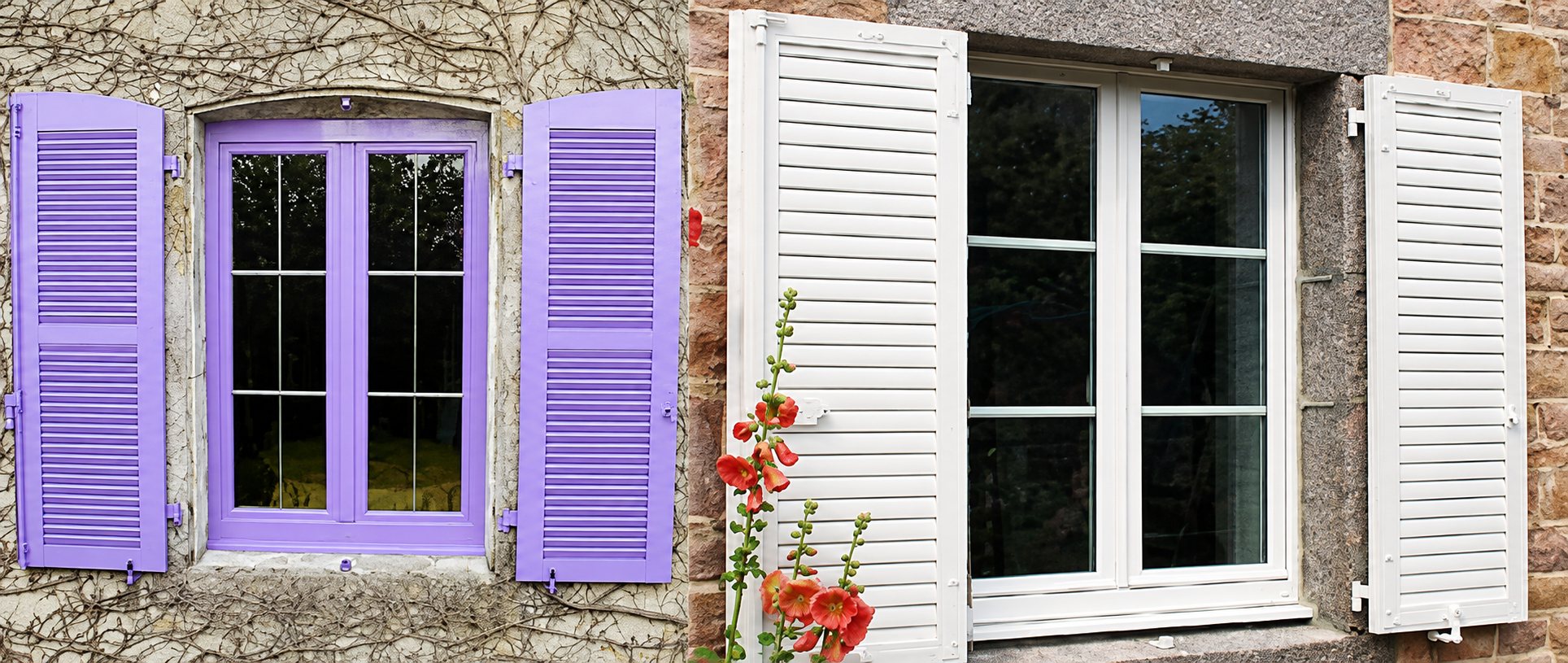 Deux façades en pierre côte à côte : à gauche une fenêtre violette aux volets persiennes violets, à droite une fenêtre blanche aux volets blancs et une rose trémière au premier plan.